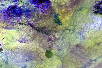 N 028A